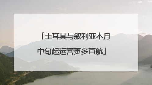 土耳其与叙利亚本月中旬起运营更多直航