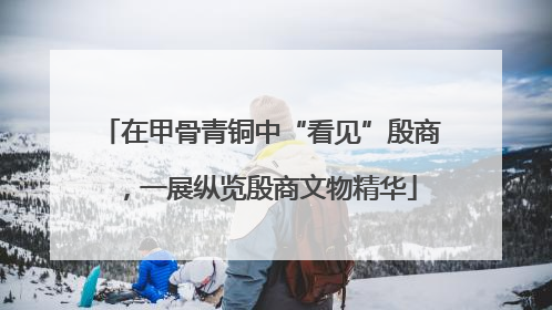 在甲骨青铜中“看见”殷商，一展纵览殷商文物精华