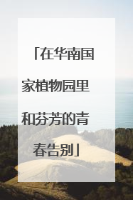 在华南国家植物园里和芬芳的青春告别