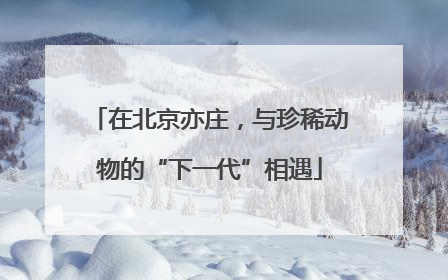 在北京亦庄，与珍稀动物的“下一代”相遇