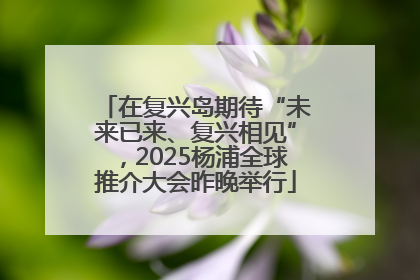 在复兴岛期待“未来已来、复兴相见”，2025杨浦全球推介大会昨晚举行