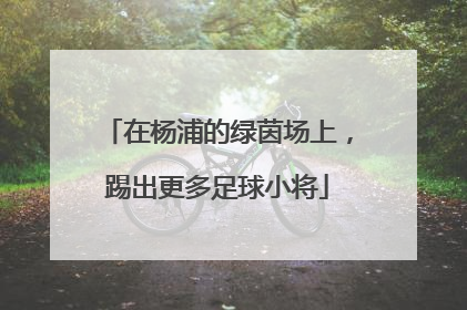 在杨浦的绿茵场上，踢出更多足球小将