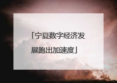 宁夏数字经济发展跑出加速度