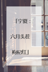 宁夏：六月头茬枸杞红