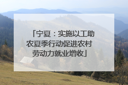 宁夏：实施以工助农夏季行动促进农村劳动力就业增收