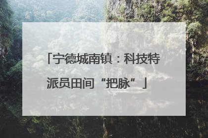 宁德城南镇：科技特派员田间“把脉”
