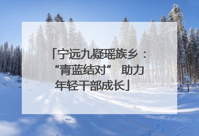 宁远九疑瑶族乡：“青蓝结对” 助力年轻干部成长
