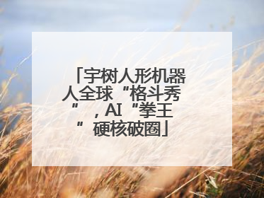 宇树人形机器人全球“格斗秀”，AI“拳王”硬核破圈