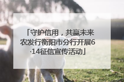 守护信用，共赢未来 农发行衡阳市分行开展6·14征信宣传活动