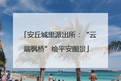 安丘城里派出所：“云端枫桥”绘平安图景