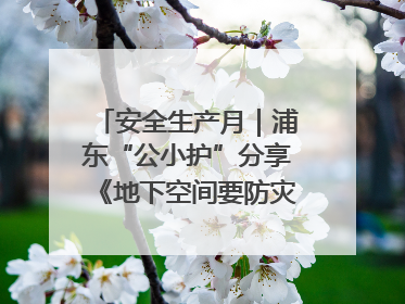 安全生产月｜浦东“公小护”分享《地下空间要防灾，守护平安有我在》安全谣