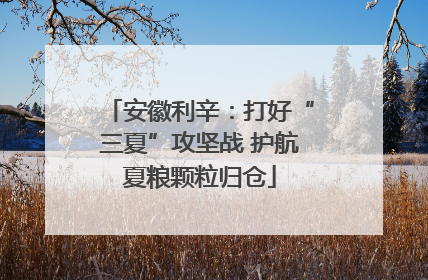 安徽利辛：打好“三夏”攻坚战 护航夏粮颗粒归仓