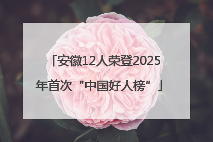 安徽12人荣登2025年首次“中国好人榜”
