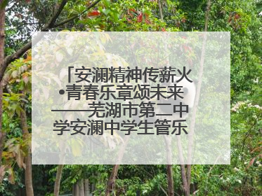 安澜精神传薪火•青春乐章颂未来——芜湖市第二中学安澜中学生管乐团第十二届公益展演圆满举行