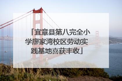 宜章县第八完全小学廖家湾校区劳动实践基地喜获丰收