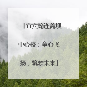 宜宾筠连蒿坝中心校：童心飞扬，筑梦未来