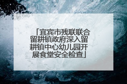 宜宾市残联联合留耕镇政府深入留耕镇中心幼儿园开展食堂安全检查
