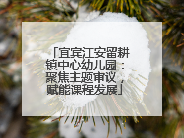 宜宾江安留耕镇中心幼儿园：聚焦主题审议，赋能课程发展