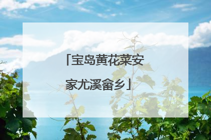 宝岛黄花菜安家尤溪畲乡
