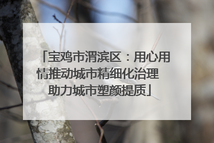 宝鸡市渭滨区：用心用情推动城市精细化治理 助力城市塑颜提质