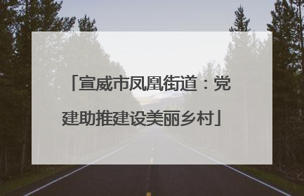 宣威市凤凰街道：党建助推建设美丽乡村