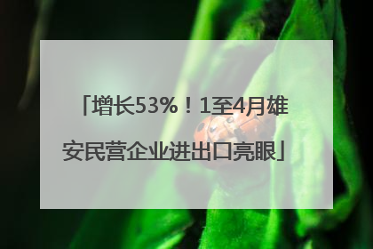 增长53%！1至4月雄安民营企业进出口亮眼