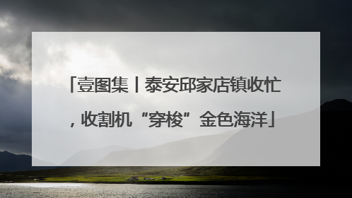 壹图集丨泰安邱家店镇收忙，收割机“穿梭”金色海洋