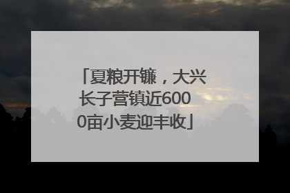 夏粮开镰，大兴长子营镇近6000亩小麦迎丰收
