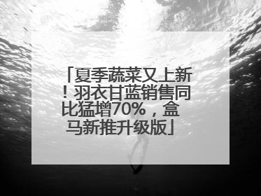 夏季蔬菜又上新！羽衣甘蓝销售同比猛增70%，盒马新推升级版