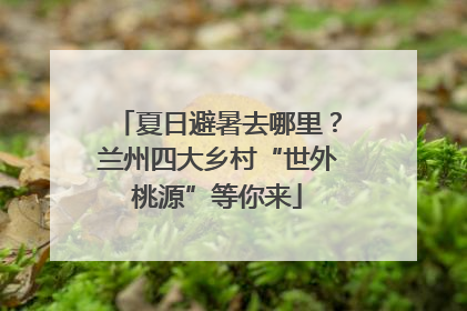 夏日避暑去哪里？兰州四大乡村“世外桃源”等你来