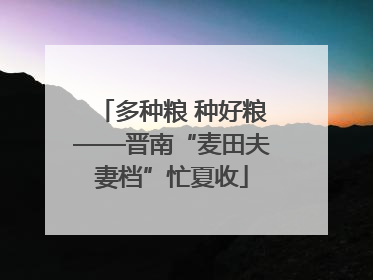 多种粮 种好粮——晋南“麦田夫妻档”忙夏收