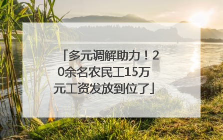 多元调解助力！20余名农民工15万元工资发放到位了