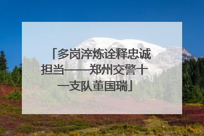 多岗淬炼诠释忠诚担当——郑州交警十一支队董国瑞