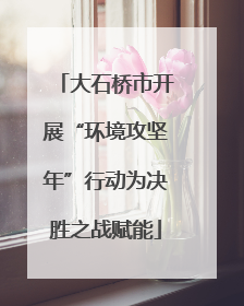 大石桥市开展“环境攻坚年”行动为决胜之战赋能