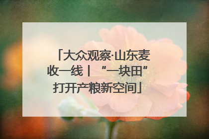 大众观察·山东麦收一线丨“一块田”打开产粮新空间