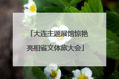 大连主题展馆惊艳亮相省文体旅大会