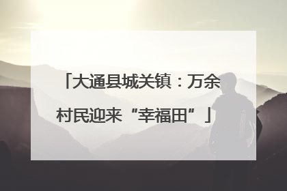 大通县城关镇：万余村民迎来“幸福田”