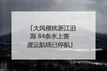 大风侵扰浙江沿海 84条水上客渡运航线已停航