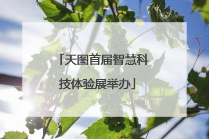 天图首届智慧科技体验展举办