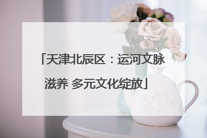 天津北辰区：运河文脉滋养 多元文化绽放
