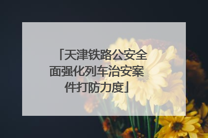 天津铁路公安全面强化列车治安案件打防力度