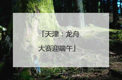 天津：龙舟大赛迎端午