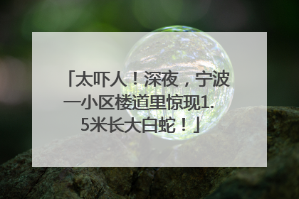 太吓人！深夜，宁波一小区楼道里惊现1.5米长大白蛇！