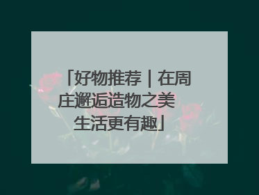 好物推荐｜在周庄邂逅造物之美 生活更有趣
