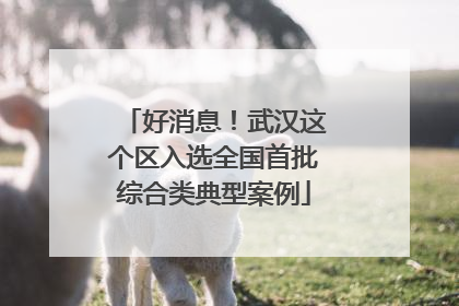 好消息！武汉这个区入选全国首批综合类典型案例
