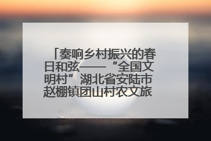 奏响乡村振兴的春日和弦——“全国文明村”湖北省安陆市赵棚镇团山村农文旅融合发展见闻
