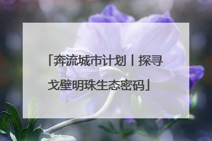 奔流城市计划丨探寻戈壁明珠生态密码