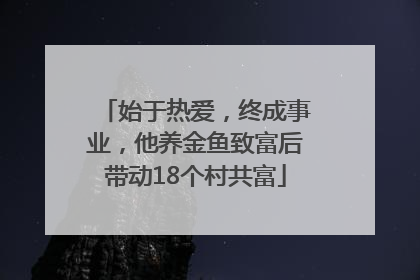 始于热爱，终成事业，他养金鱼致富后带动18个村共富