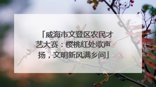 威海市文登区农民才艺大赛：樱桃红处歌声扬，文明新风满乡间