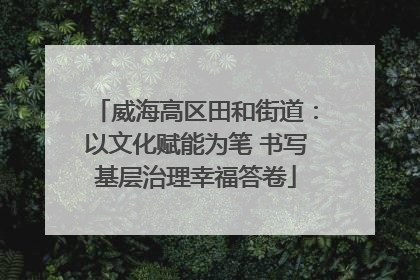 威海高区田和街道：以文化赋能为笔 书写基层治理幸福答卷